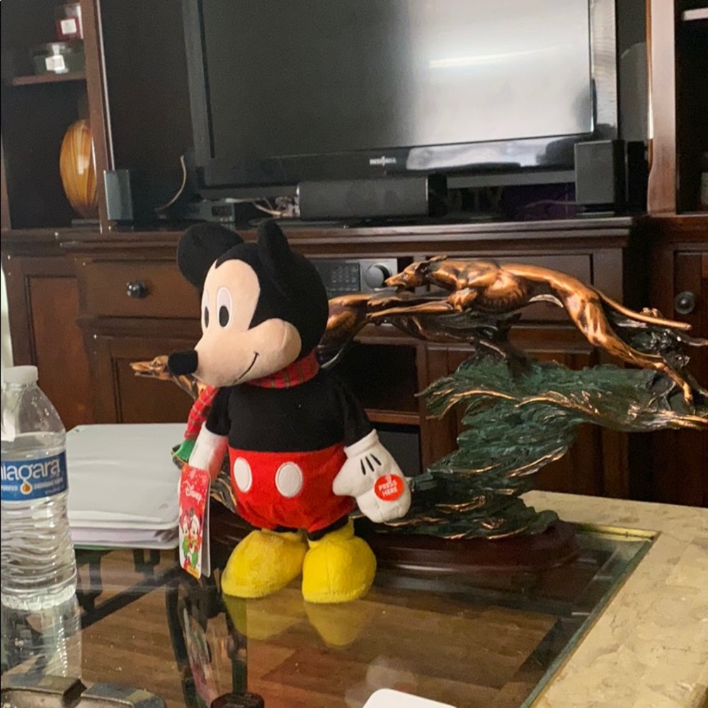 Meet your Posher, Arizbeth